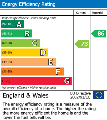 Energy Performance Certificate for Dinam Terrace, Canal Road, Newtown, Powys