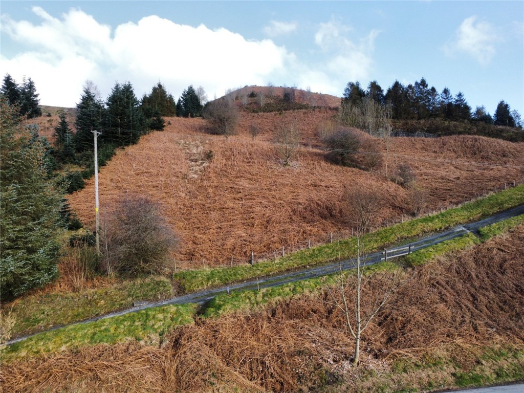 Land At Glanrhyd, Llanwddyn, Oswestry, Land Agricultural